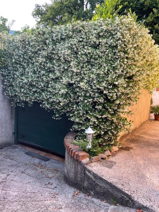 Casa Monia Apartment Roe